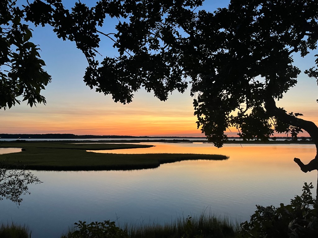 “Do you have the patience to wait until the mud settles and the water clears to take the right action?” Lao Tzu