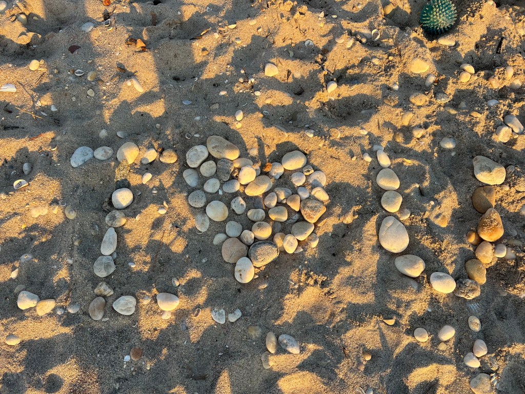 “Forgive yourself for not knowing earlier what only time could teach.”