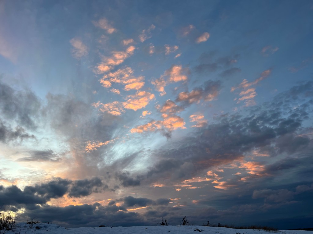 An Attitude of Gratitude